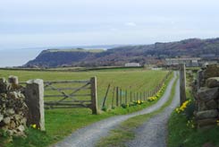 View down the lane